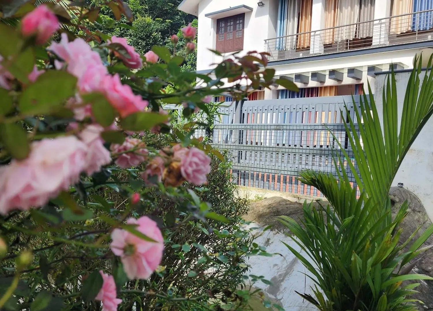 Ammu'S Home Stay Panamaram